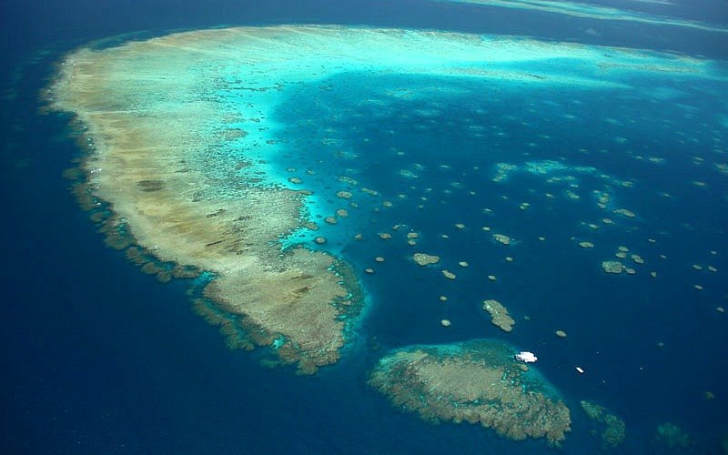 الغوص الحاجز المرجاني العظيم Great Barrier Reef