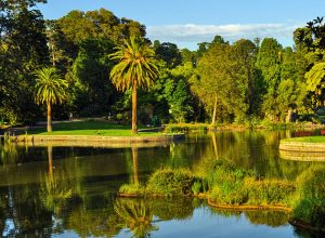 الحدائق النباتية الملكية Royal Botanic Gardens